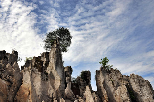 優(yōu)特科技戰(zhàn)略與規(guī)劃部舉辦2013年度攝影大賽
